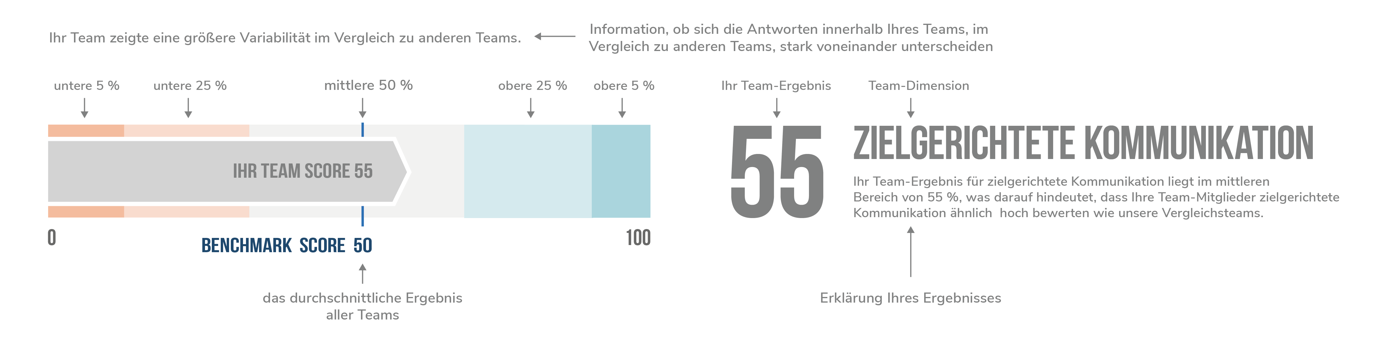 https://teamorama.project.tuwien.ac.at/wp-content/uploads/2024/03/explainer_teamscore_DE@2x-1.png